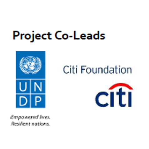 undp